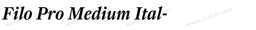 Filo Pro Medium Ital字体转换